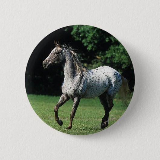 Appaloosa-paard met vlucht 2 ronde button 5,7 cm (Voorkant)