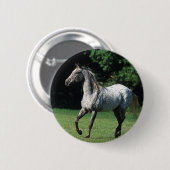 Appaloosa-paard met vlucht 2 ronde button 5,7 cm (Voorkant /achterkant)