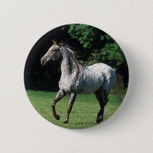 Appaloosa-paard met vlucht 2 ronde button 5,7 cm