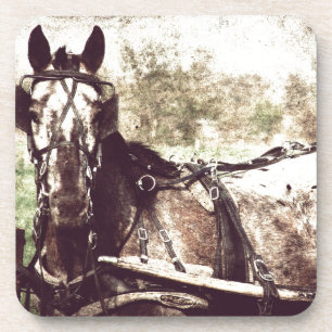Appaloosa-paard Onderzetter