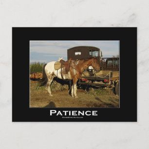 Appaloosa Paard Paard Motivatie kunst Kaart