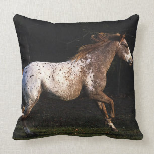 Appaloosa Paard Rennen 4 Kussen