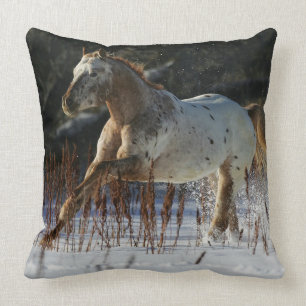 Appaloosa-paard rent in de sneeuw kussen