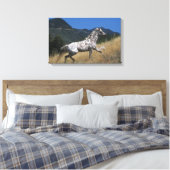 Appaloosa-paard rijdend in bergen canvas afdruk (Insitu (Slaapkamer))