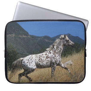 Appaloosa-paard rijdend in bergen laptop sleeve