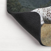 Appaloosa-paard rijdend in bergen muismat (Hoek)