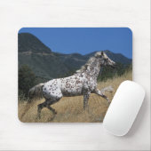 Appaloosa-paard rijdend in bergen muismat (Met muis)