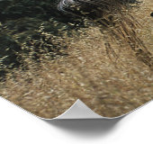 Appaloosa-paard rijdend in bergen poster (Hoek)