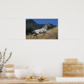 Appaloosa-paard rijdend in bergen poster (Keuken)