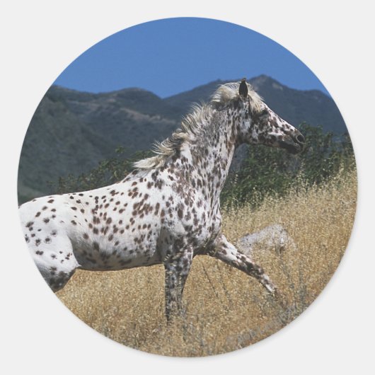 Appaloosa-paard rijdend in bergen ronde sticker (Voorkant)