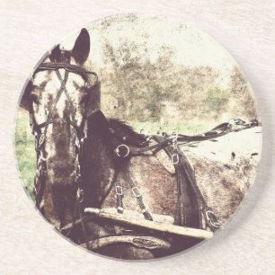 Appaloosa-paard Zandsteen Onderzetter