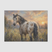 Appaloosa-paard Zonsondergang Weide Tissuepapier (Voorkant)
