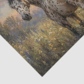 Appaloosa-paard Zonsondergang Weide Tissuepapier (Detail)