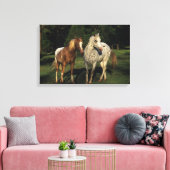 Appaloosa paarden canvas afdruk (Insitu (Woonkamer))
