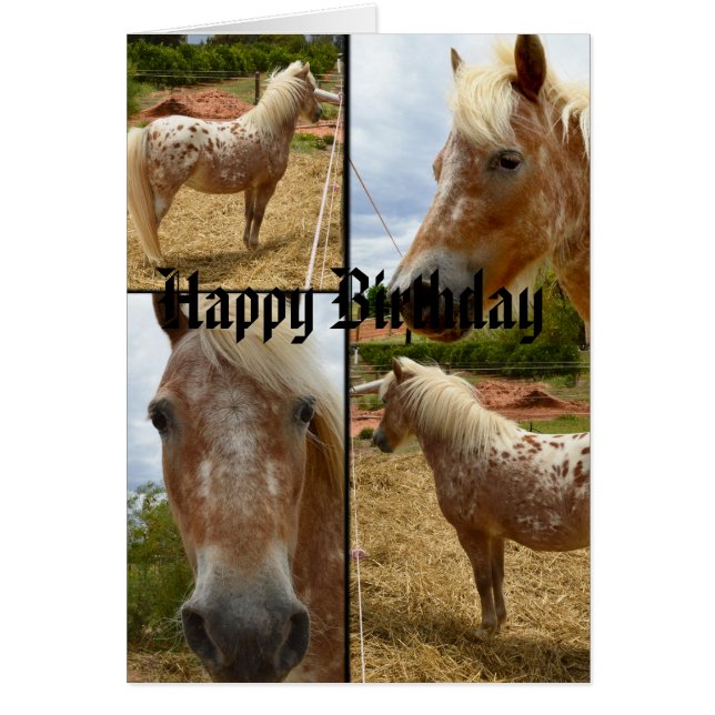 Appaloosa Paarden Foto Collage Birthday (Voorkant)