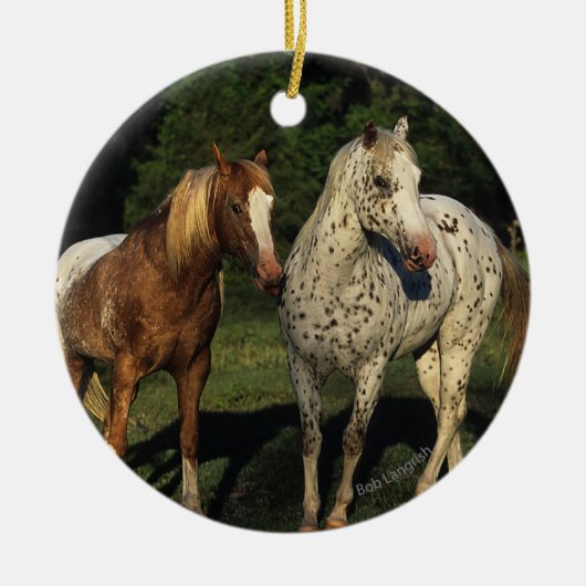 Appaloosa paarden keramisch ornament (Voorkant)