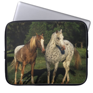 Appaloosa paarden laptop sleeve