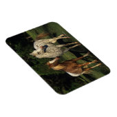 Appaloosa paarden magneet (Rechterzijde)