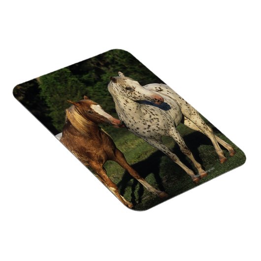 Appaloosa paarden magneet (Rechterzijde)
