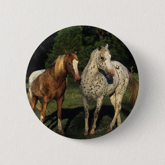 Appaloosa paarden ronde button 5,7 cm (Voorkant)