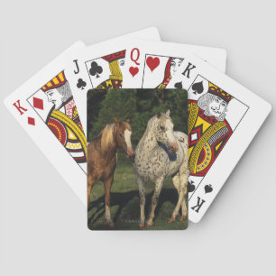 Appaloosa paarden speelkaarten