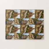 Appaloosa Paardenfotocollage Legpuzzel (Horizontaal)