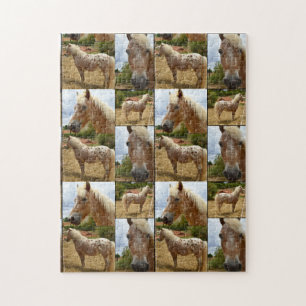 Appaloosa Paardenfotocollage Legpuzzel