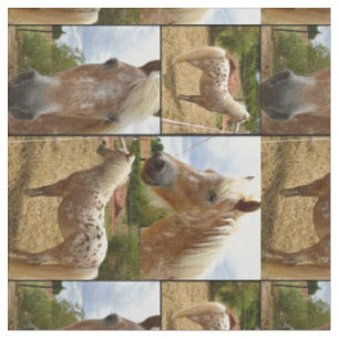 Appaloosa Paardenfotocollage Stof