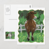 Appaloosa Pony Briefkaart (Voorkant / Achterkant)