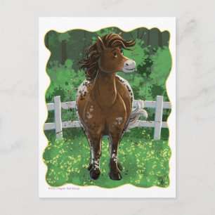Appaloosa Pony Briefkaart