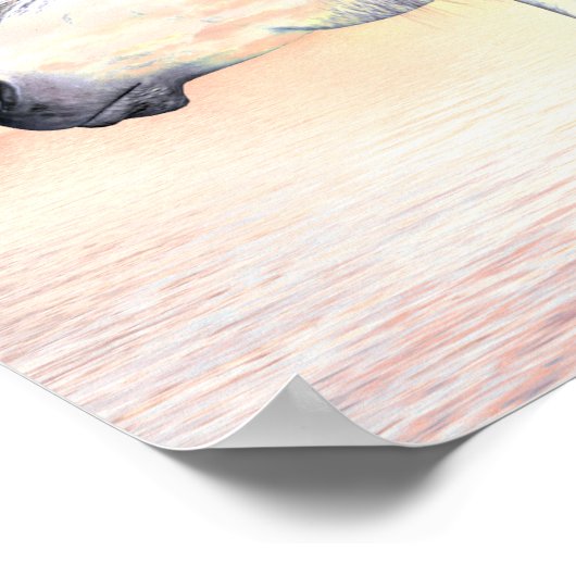 Appaloosa Poster (Hoek)