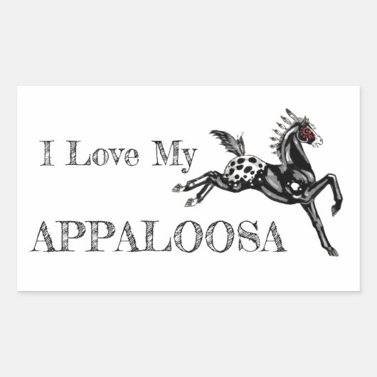 Appaloosa Rechthoekige Sticker (Voorkant)