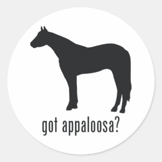 Appaloosa Ronde Sticker