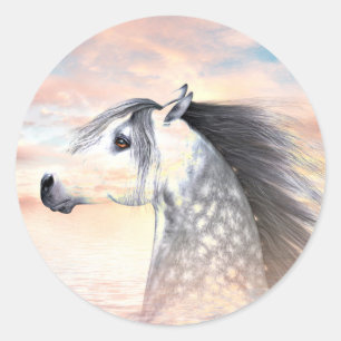 Appaloosa Ronde Sticker