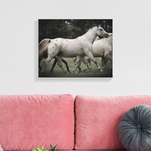 Appaloosa Running Free Canvas Afdruk (Insitu (Woonkamer))