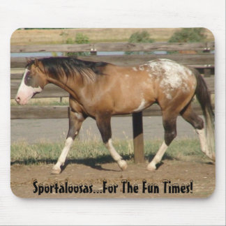 Appaloosa sportaloosa muismat
