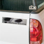 Appaloosa-Spots R Us Bumpersticker (Op Truck)