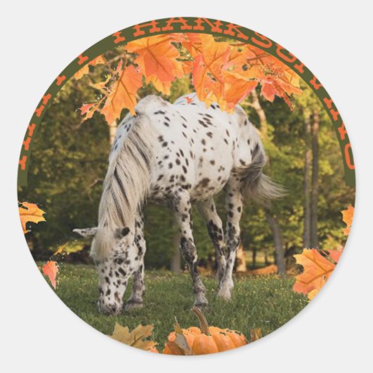 Appaloosa-Thanksgiving Ronde Sticker (Voorkant)