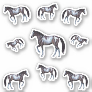 Appaloosa western paardenmerrie | Illustratie - Sticker