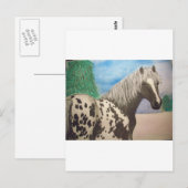 Appaloosa winter briefkaart (Voorkant / Achterkant)