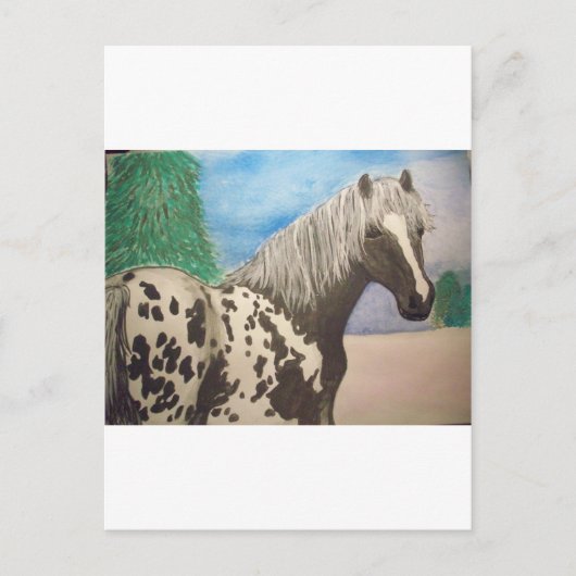 Appaloosa winter briefkaart (Voorkant)