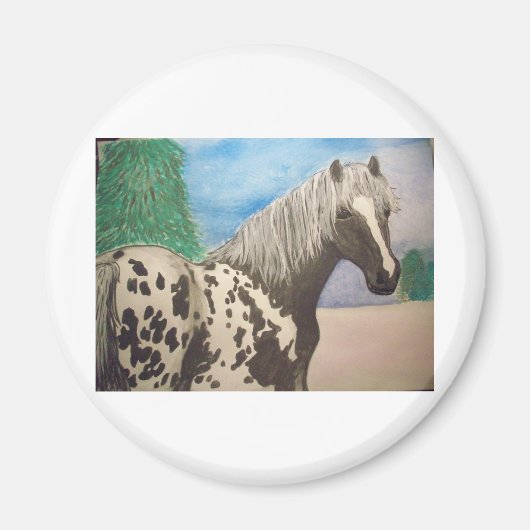 Appaloosa winter magneet (Voorkant)