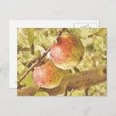 APPARATEN BRIEFKAART (Voorkant / Achterkant)