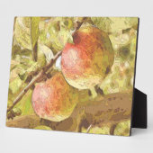 APPARATEN FOTOPLAAT (Zijkant)