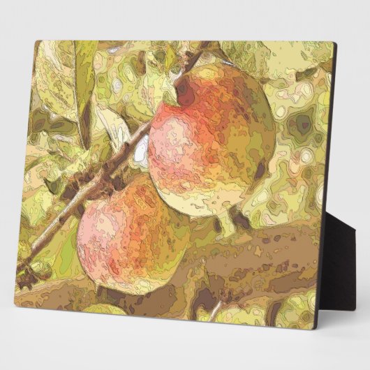 APPARATEN FOTOPLAAT (Zijkant)