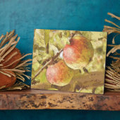 APPARATEN FOTOPLAAT (Zijkant)