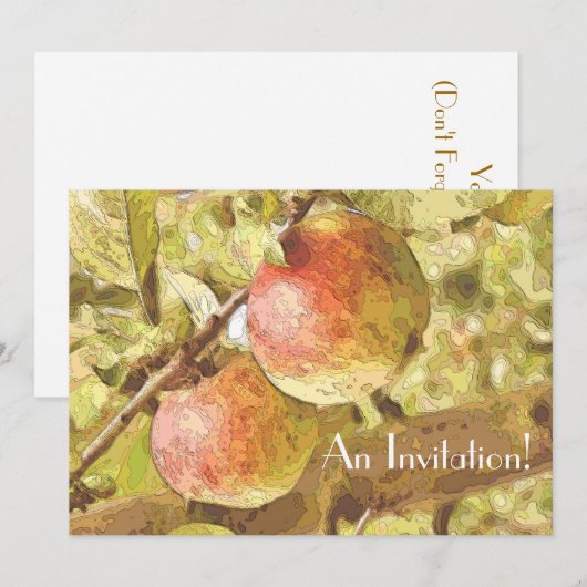 APPARATEN KAART (Voorkant / Achterkant)