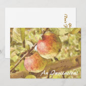 APPARATEN KAART (Voorkant / Achterkant)