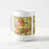 APPARATEN KOFFIEMOK (Voorkant links)