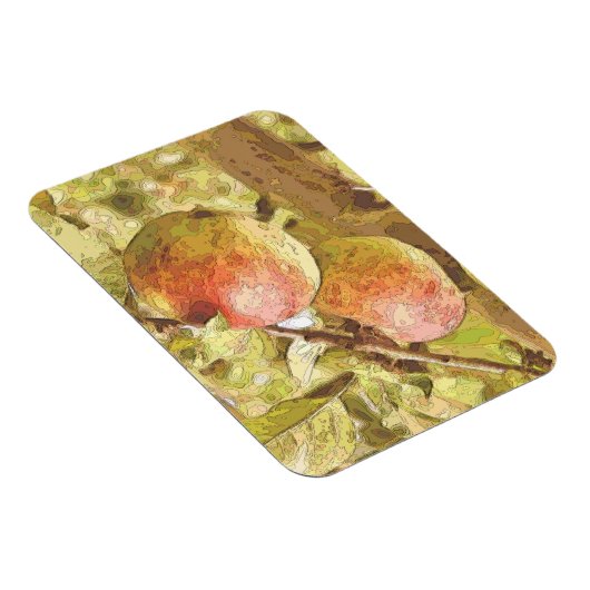 APPARATEN MAGNEET (Rechterzijde)